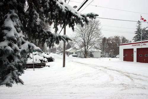christmas winter snow storm streets pine belleville falling covered snowing wonderland cedars snowplow quinte frankford blanketofsnow winterstormwatch
