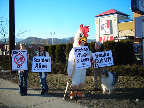 Kelowna, BC KFC Protest | by Activist Liaisons