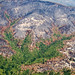 2008-07-17 Summit Fire — Corralitos, CA