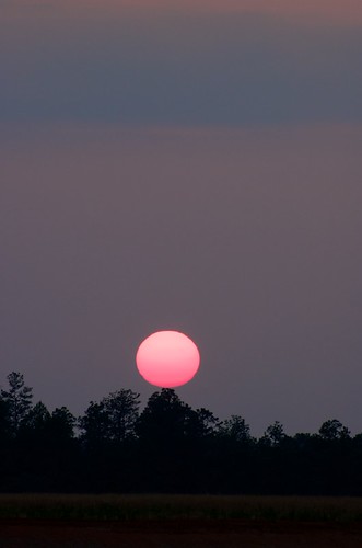 Point of equilibrium (zoom) by FrenchKheldar, The sun appears to hang on the tip of the trees.sunset sky usa tree weather georgia vegetation nikon