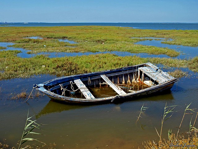 Barco Antigo / Old Boat
