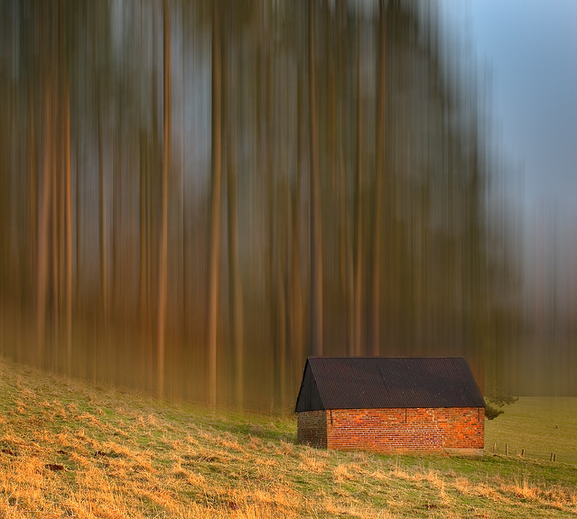 Barn in the Enchanted Wood