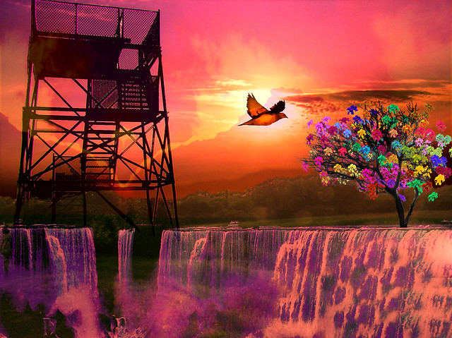 Bird and the Tower Over Niagara with Colorful Tree