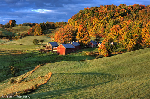 autumn fall leaves reading vermont farm foliage hdr jenne colorphotoaward superaplus aplusphoto theunforgettablepictures