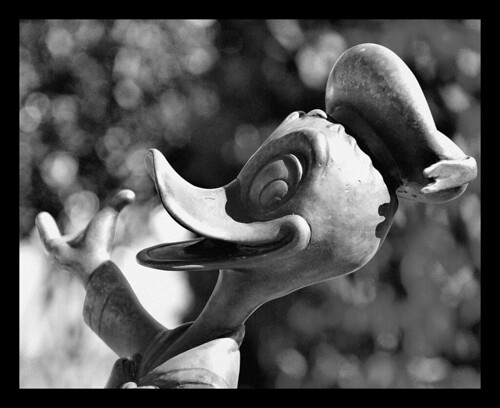 Disney - Wonderful World Or Color - In Black & White - Donald by Express Monorail