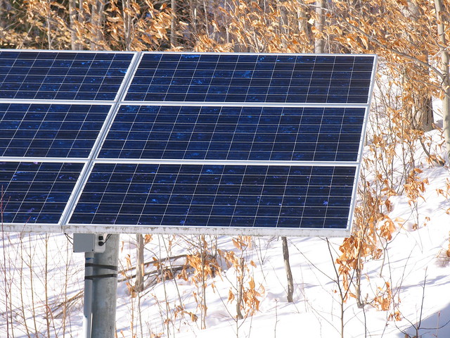 Solar Panel and Beech Wood