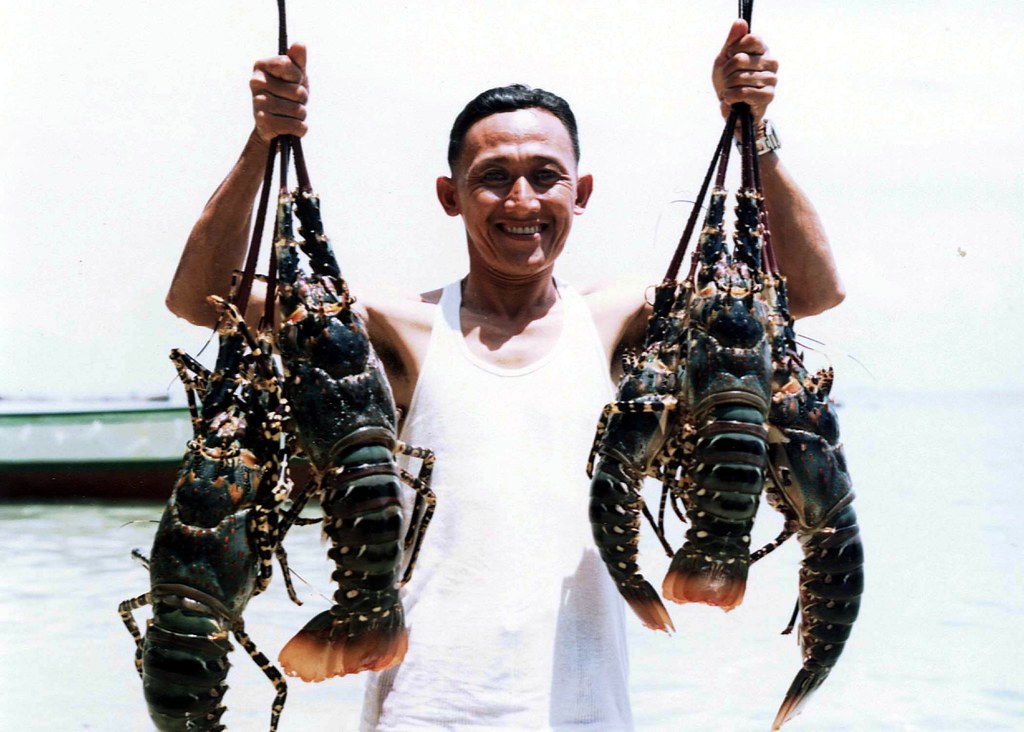Lobsters Spear Fishing in Labuan. (4) | kuachiu | Flickr