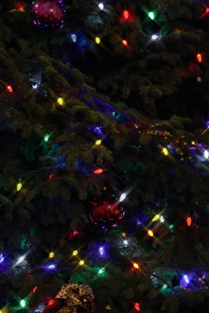 Pasadena City Hall's Christmas Tree