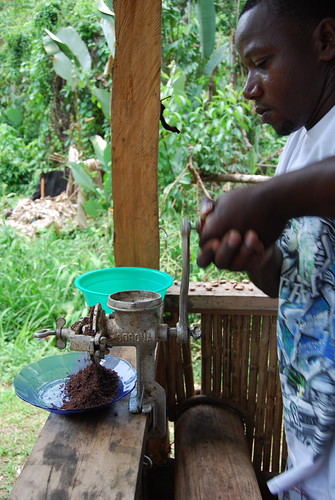 Grounding pure cocoa | by Yannou