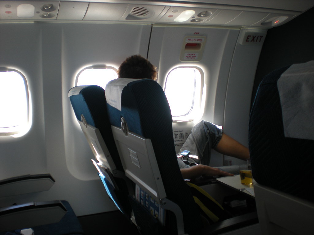 Passenger in Flight