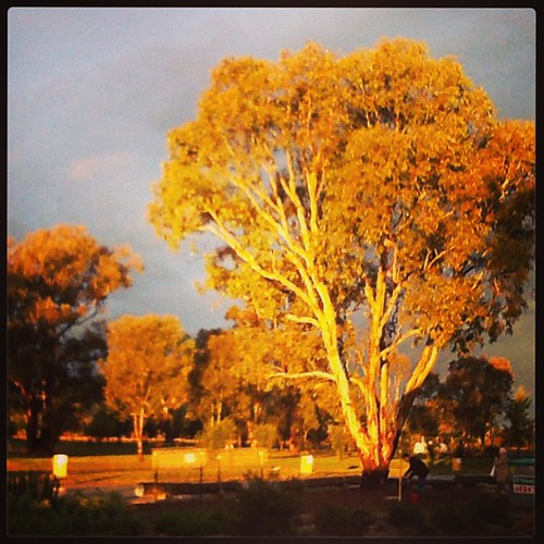 awesome #sunset after the #deluge at #mudgee #mudgeefielddays this afternoon. I sold out of #brollies! Excellent! Not to mention #gloves! #gumtree #countryside #cityslickers #cowboys #haybales #mudpools #dirtroads | by recycology