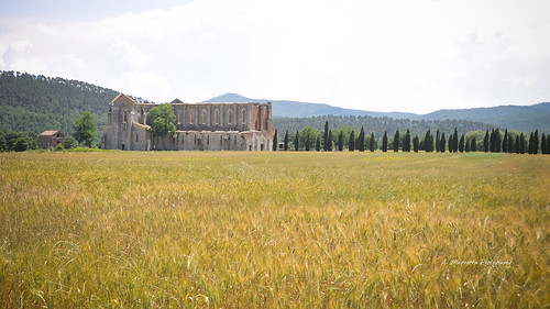italy church landscape countryside nikon wheat tuscany cypresses eremodimontesiepi d3x abbeysangalgano