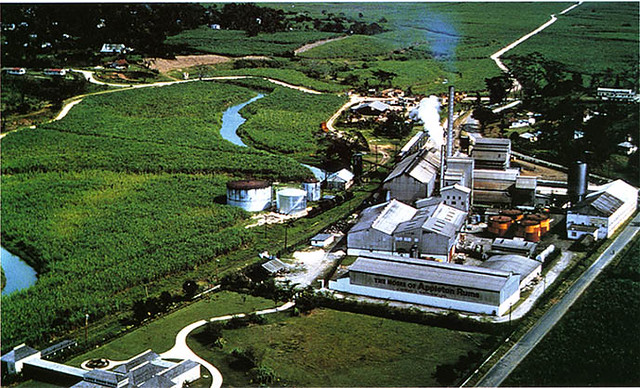 Appleton Factory, Siloah, St. Elizabeth, Jamaica [
