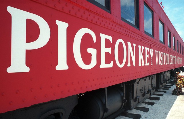 pigeon key-05-22-11-002