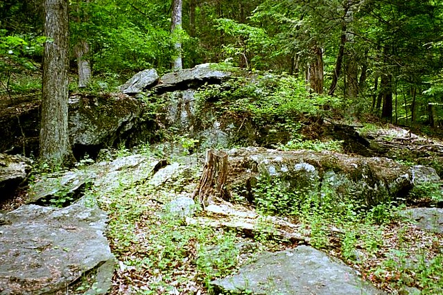 Cunningham Falls State Park:  Rock Formations