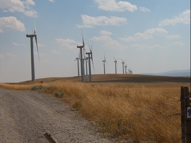 Wind Farm in Southern Alberta 07-08 - (316).JPG