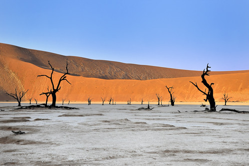 Namib Desert - Dead vlei (Sossusvlei) by bretzel liquide