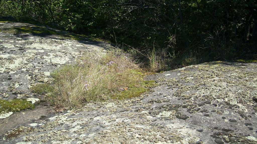 DSCI0090 | Daves rock | bradleychristian85 | Flickr
