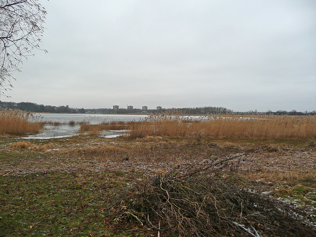 Lake Jugla  Riga at the shore line