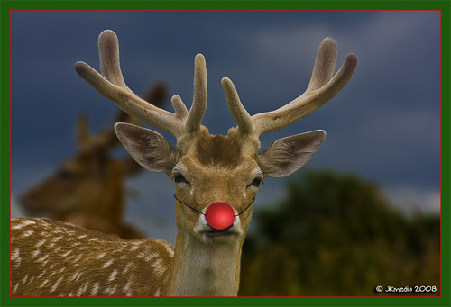 I want to be Rudolph this year by JKmedia