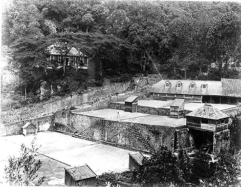 The Barbecues, Middleton Coffee Plantation area, St. Andrew, Jamaica, circa 1907