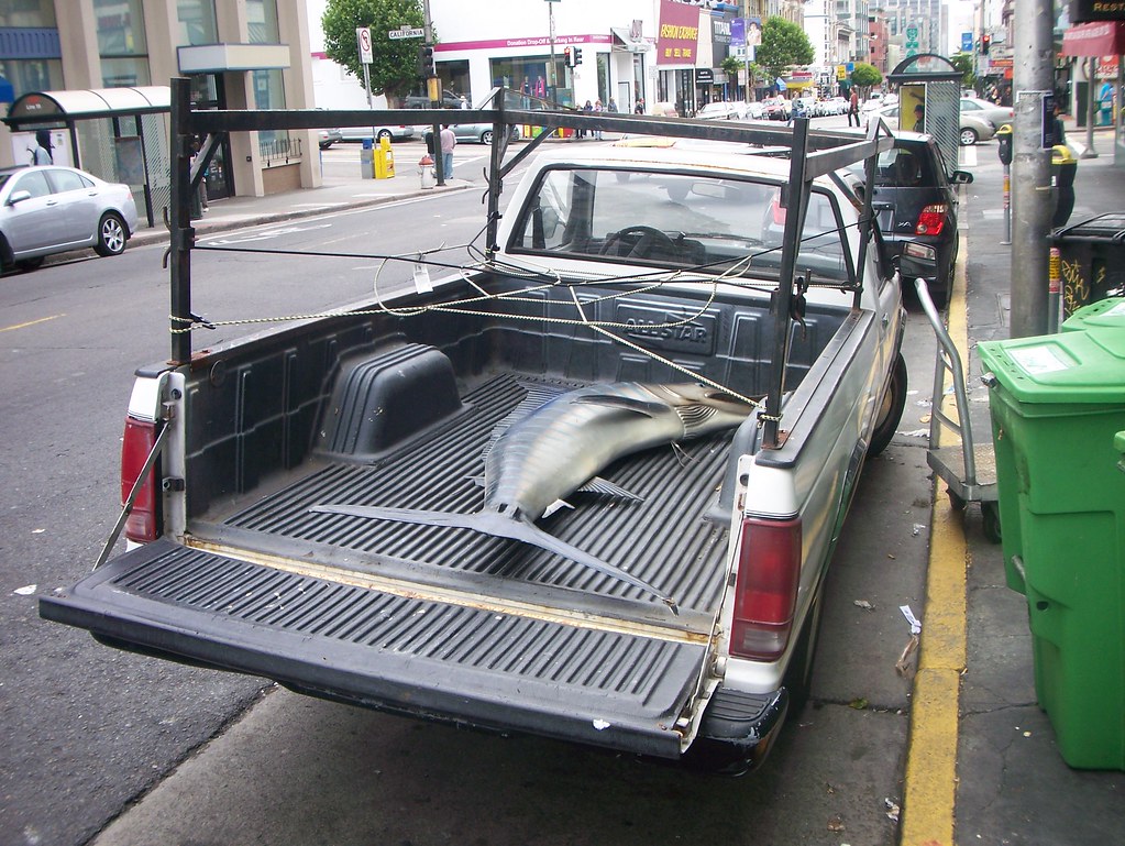 Fish Truck