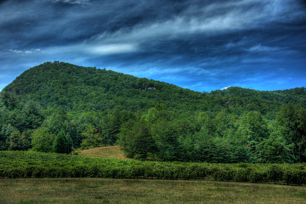Georgia Landscape