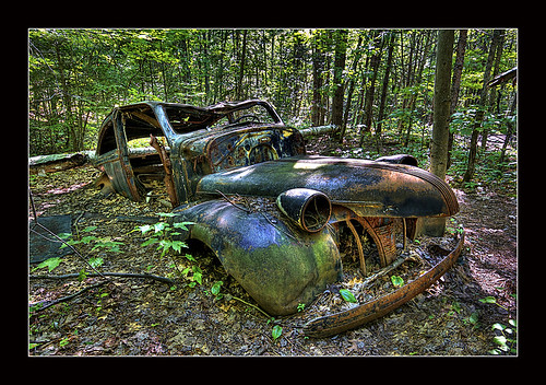 Forest Decay by ~EvidencE~