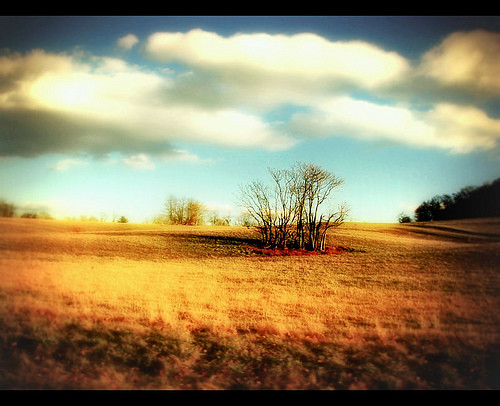 trees sky field sunshine clouds landscape virginia countryside turquoise bare delaplane skymeadowsstatepark chrysti alemdagqualityonlyclub