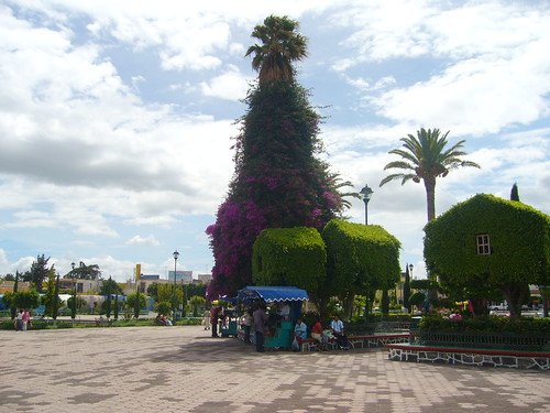 Acatzingo, Puebla