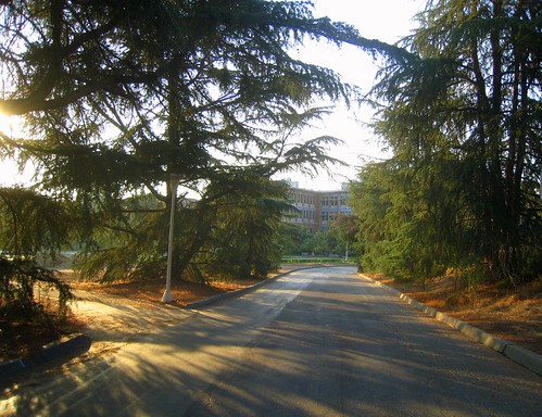 View of the Chemical Sciences Building from the Entrance Roadway to the U.C.R. Botanical Gardens