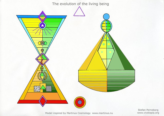 The evolution of the living being