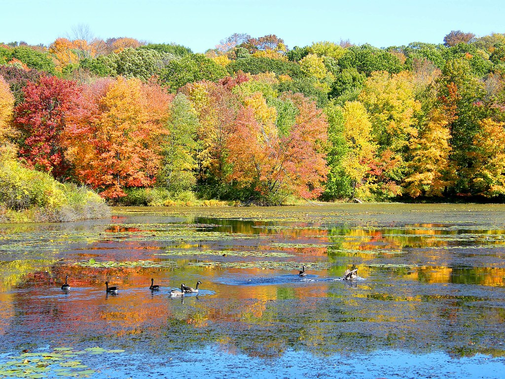 A Lake in Color | Stanley Zimny (Thank You for 69 Million views) | Flickr