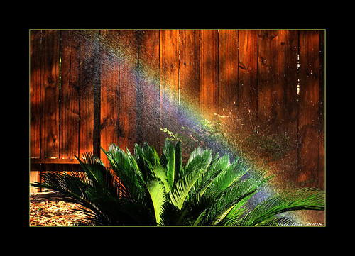 ~~~Rainbow~Garden~~~ | by ~~~Gasssman~~~