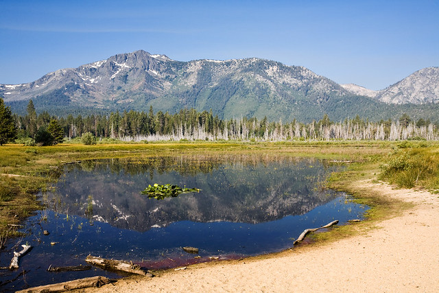 Mount Tallac Reflection