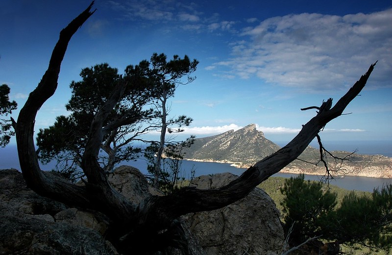 d0802014 | Wanderung von Sant Elm nach Sa Trapa, Blick auf Sa Dragonera. Mallorca, 13.04.2008