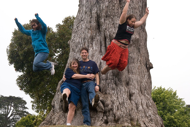 Arboretum Tree Jumping