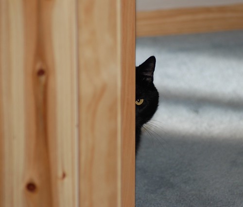 Peek-a-boo | by K/J Wilson