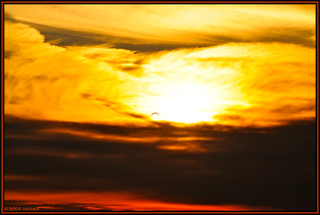 Stunning Sky Spectacular Sun Silhouette Solo Seagull. Christmas Day Sunset 2008 Long Island, New York - IMRAN™ — 2700+ Views!