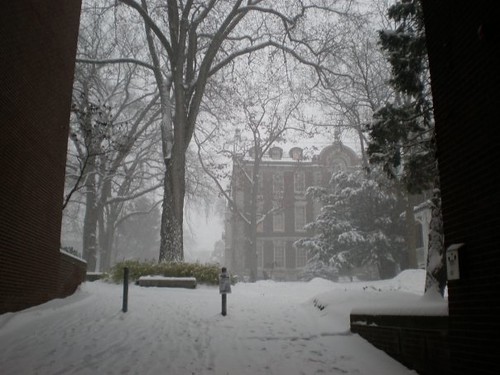 Smith College's beautiful snow
