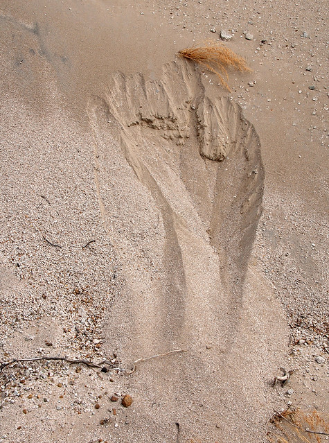 Sand erosion... 20080906