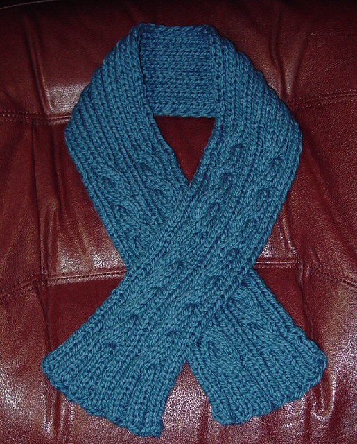 2 Cable Scarf - The pattern is from the One Skein knitting ...