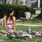Feeding pigeons