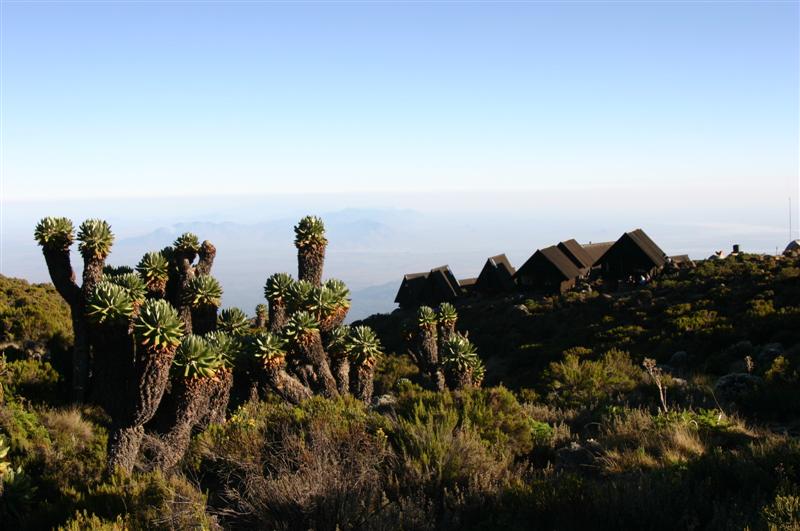 Kilimanjaro , Horombo - Camp