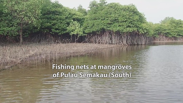Fishing nets at Pulau Semakau (South)