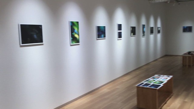 My solo show is the last day of tomorrow.  Print, lighting, the difference in the width of one wall of the wall.  Speaker position.  Display configuration.  Installation.  I am a photographer.