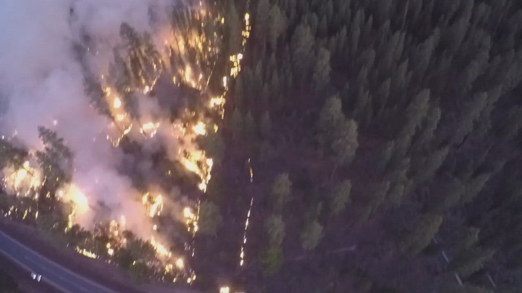 Controlled burn in southwest Oregon