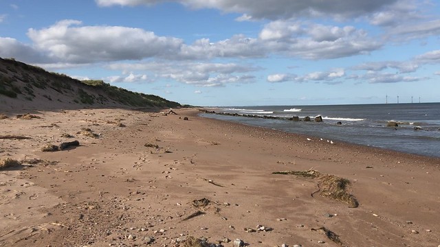 Donmouth Nature Reserve - Aberdeen Scotland - 15th August 2019