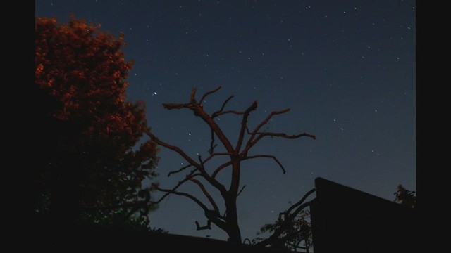 3 Hour 10 Minute Star Trails Timelapse Behind Tree Silhouette 18th/19th August 2019