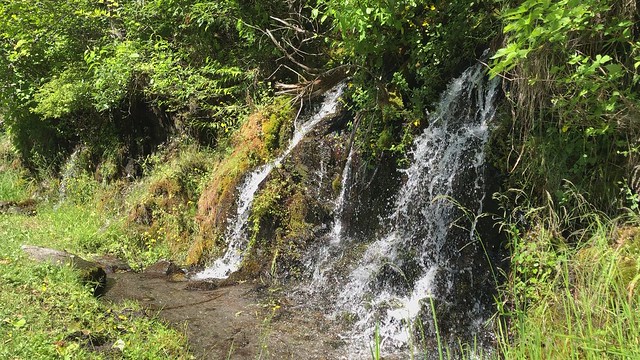 Mini Waterfalls in Mount Rainier National Park